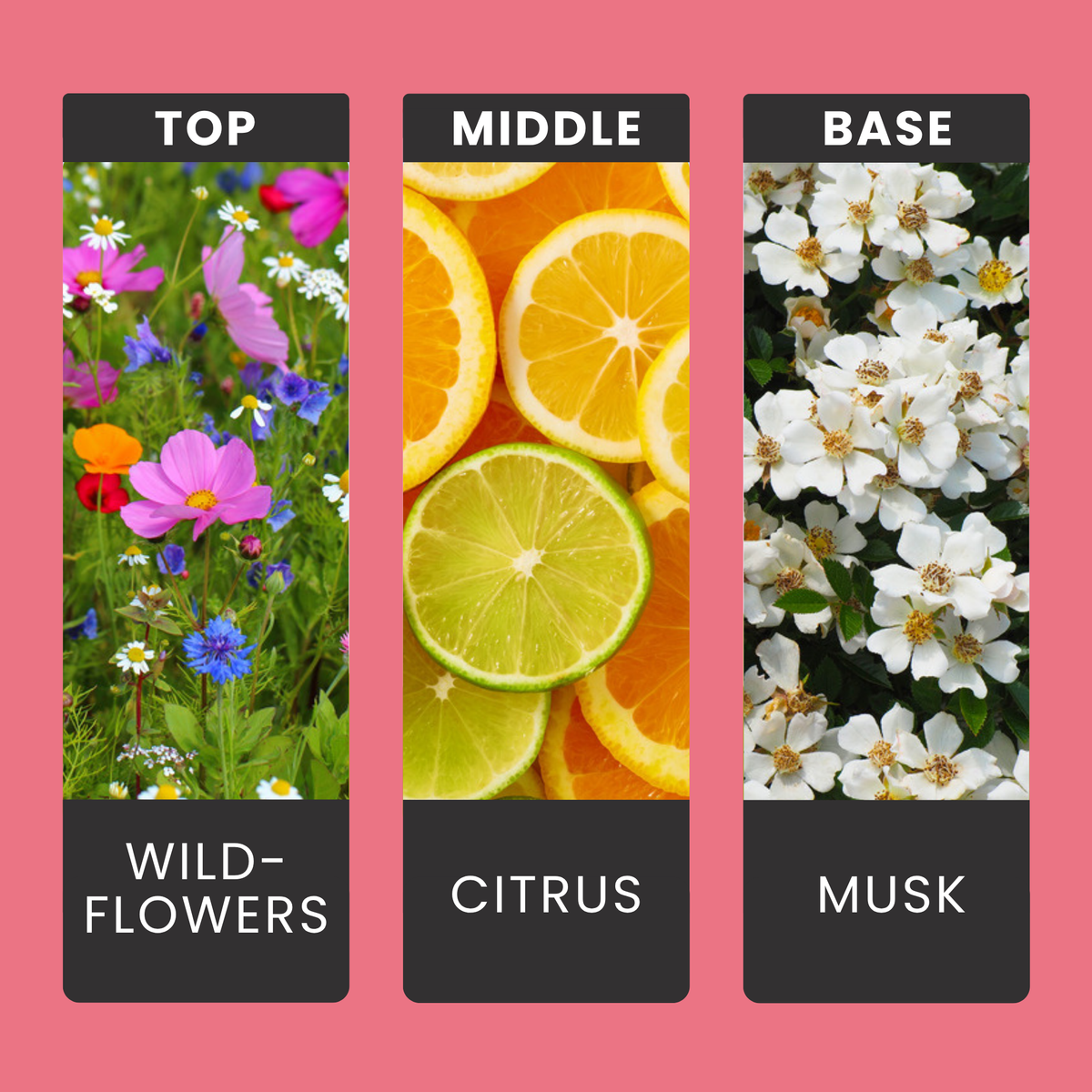 Sunset Blossom fragrance oil notes: sun-kissed florals, soft citrus and warm musk, like fresh sheets on a summer evening
