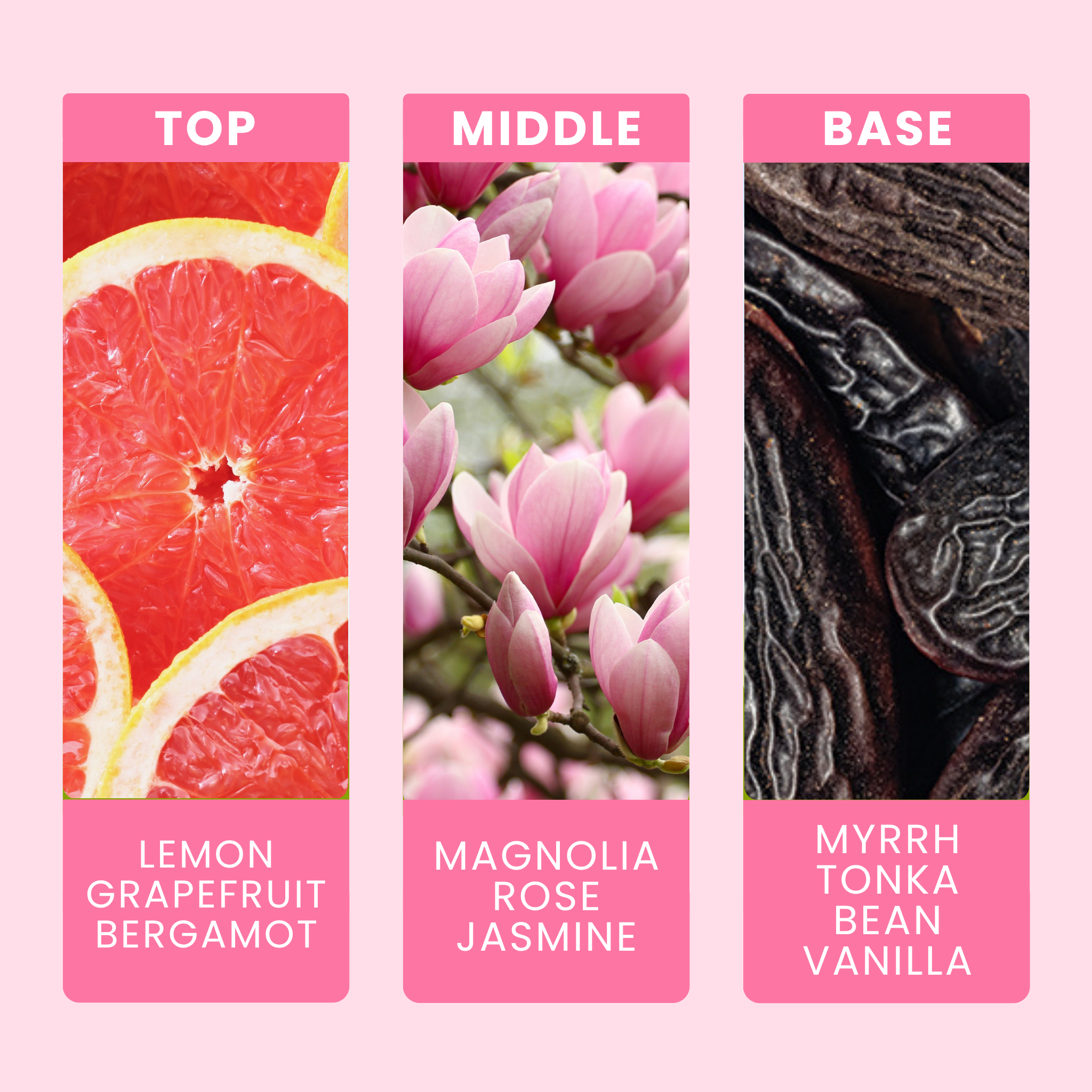 tonka-bean-and-myrrh-fragrance-oil-notes