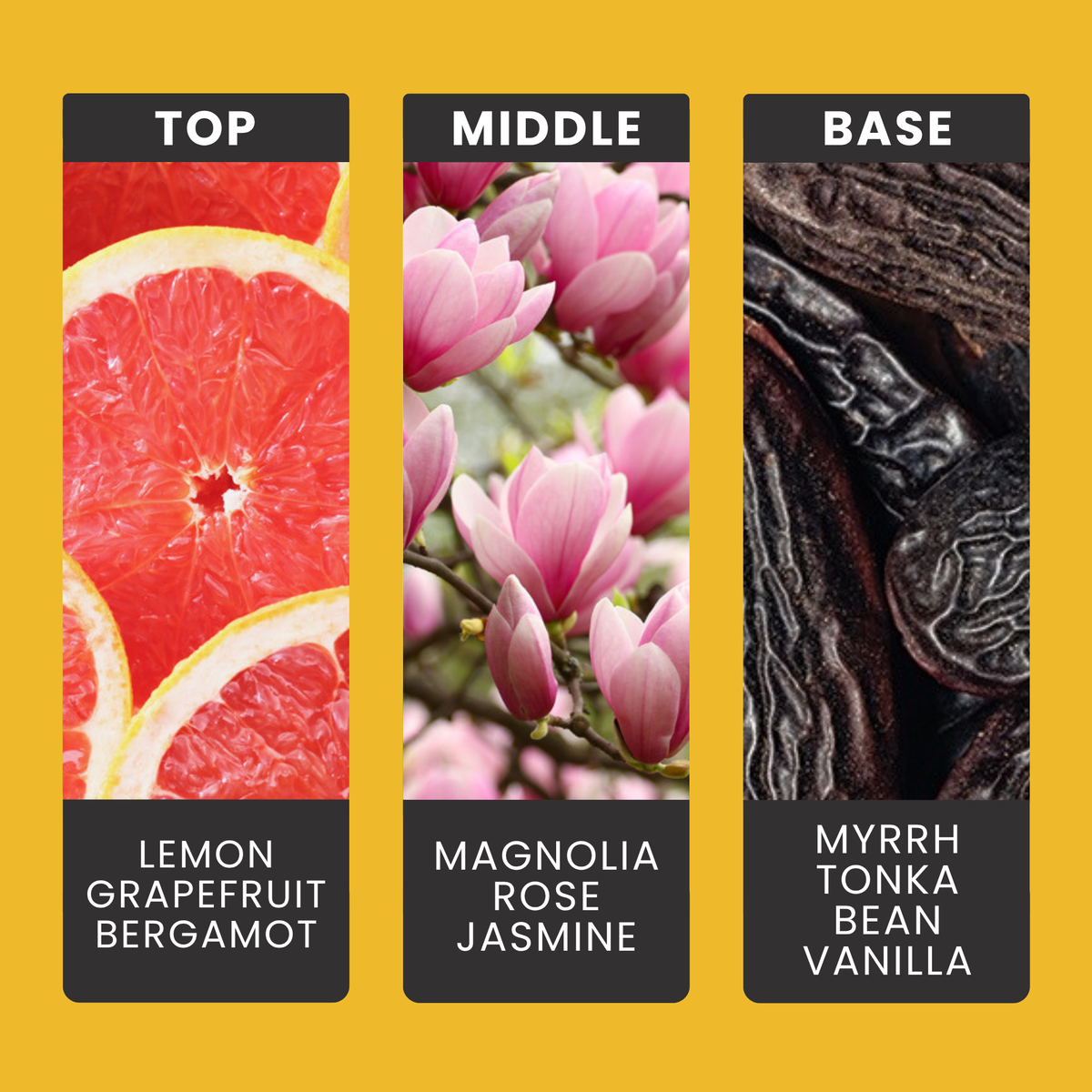 Tonka Bean & Myrrh fragrance oil notes: lemon, grapefruit and bergamot with magnolia, rose, myrrh, tonka and vanilla