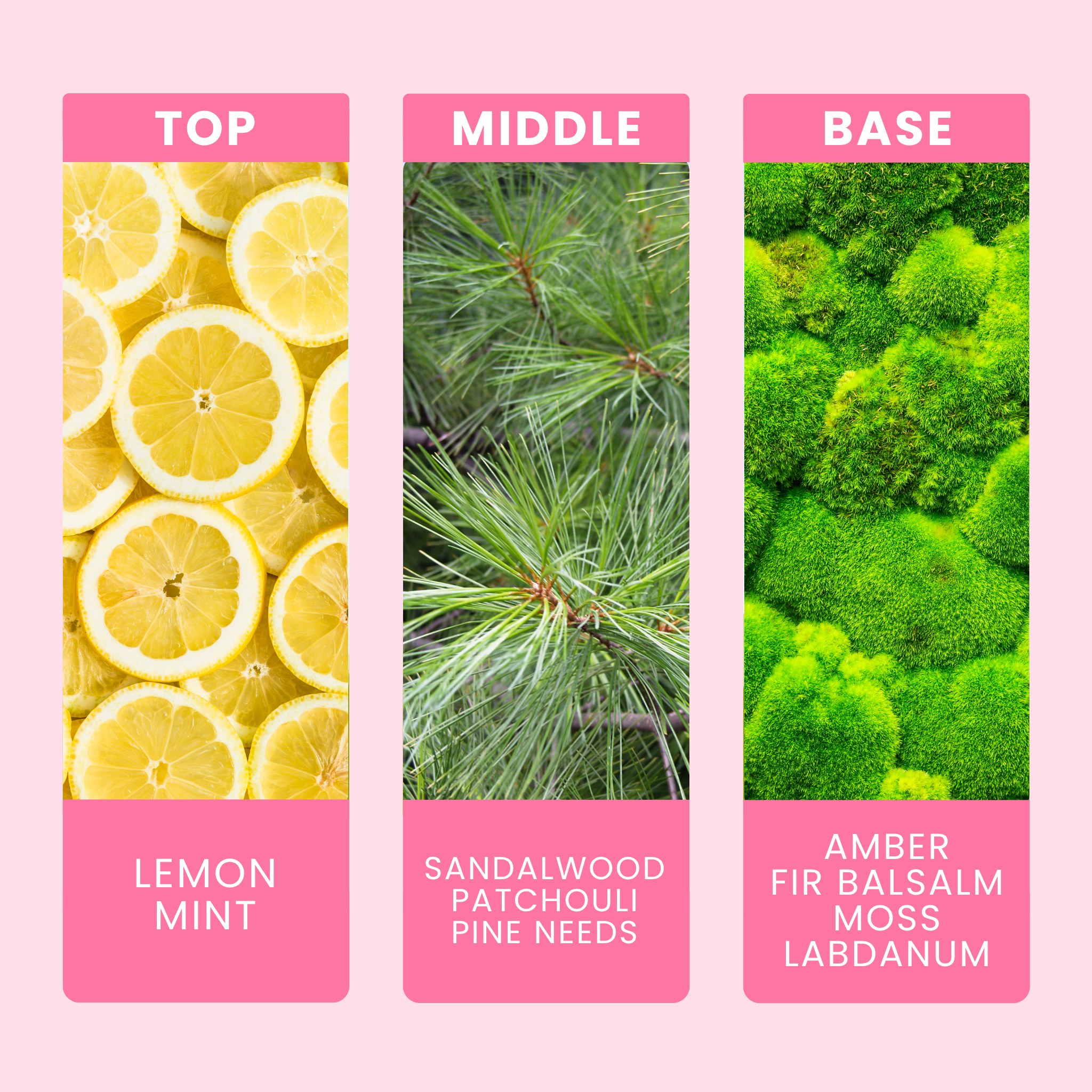 twinkling-tree-fragrance-oil-notes