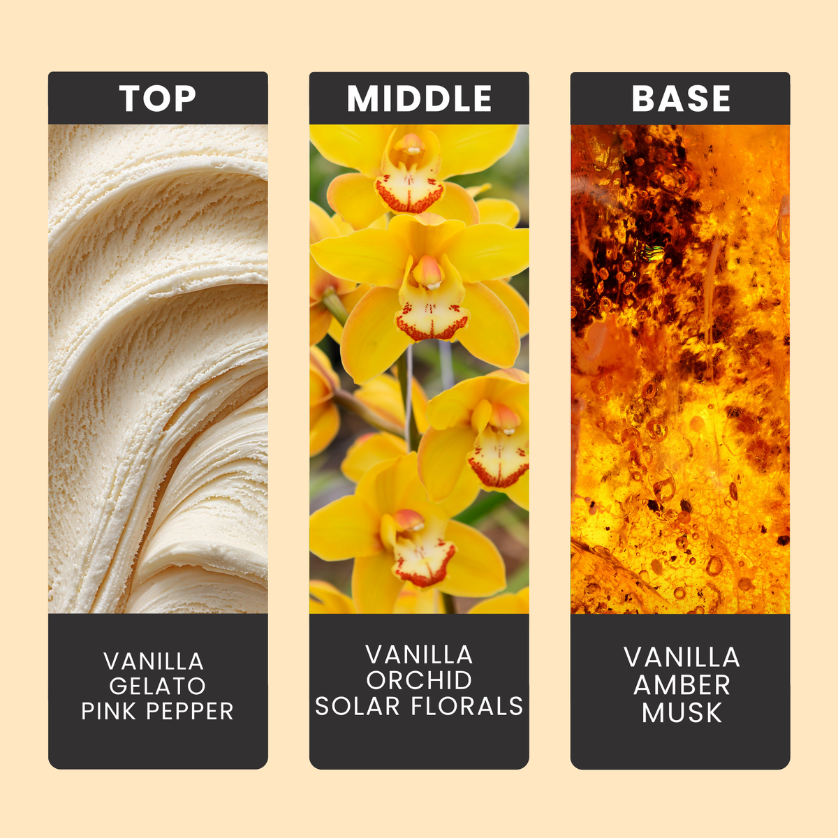 vanilla-latte-fragrance-oil-notes