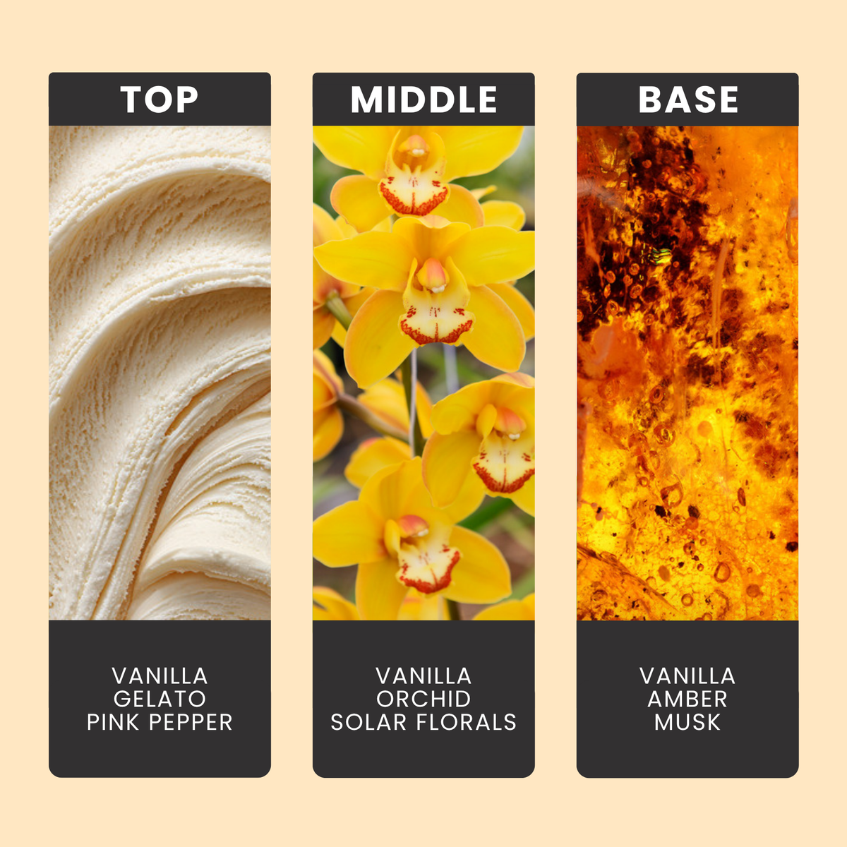 Vanilla Latte fragrance oil notes: top – vanilla gelato, pink pepper; middle – vanilla orchid, solar florals; base – vanilla, amber, musk