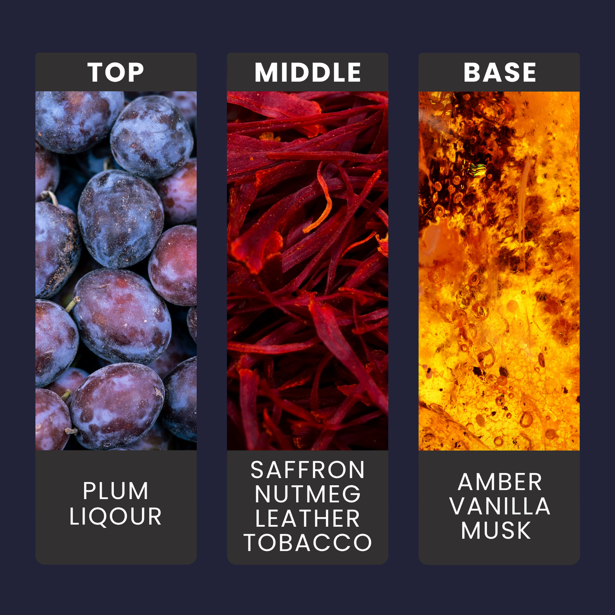 velvet-plum-and-tobacco-embers-fragrance-oil-notes