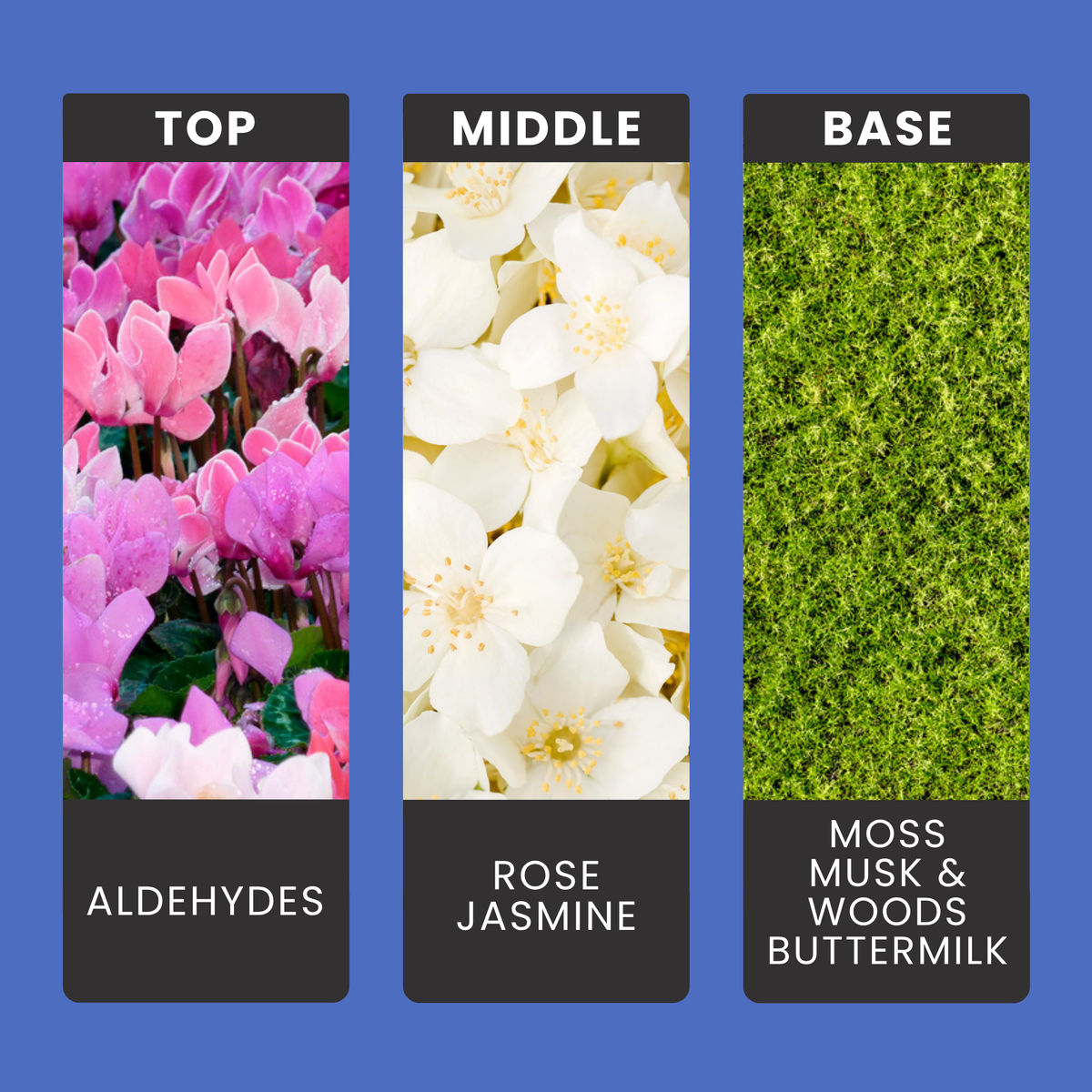 White Dove fragrance oil notes: fresh aldehydes, rose and jasmine over musk, moss, woods and buttermilk