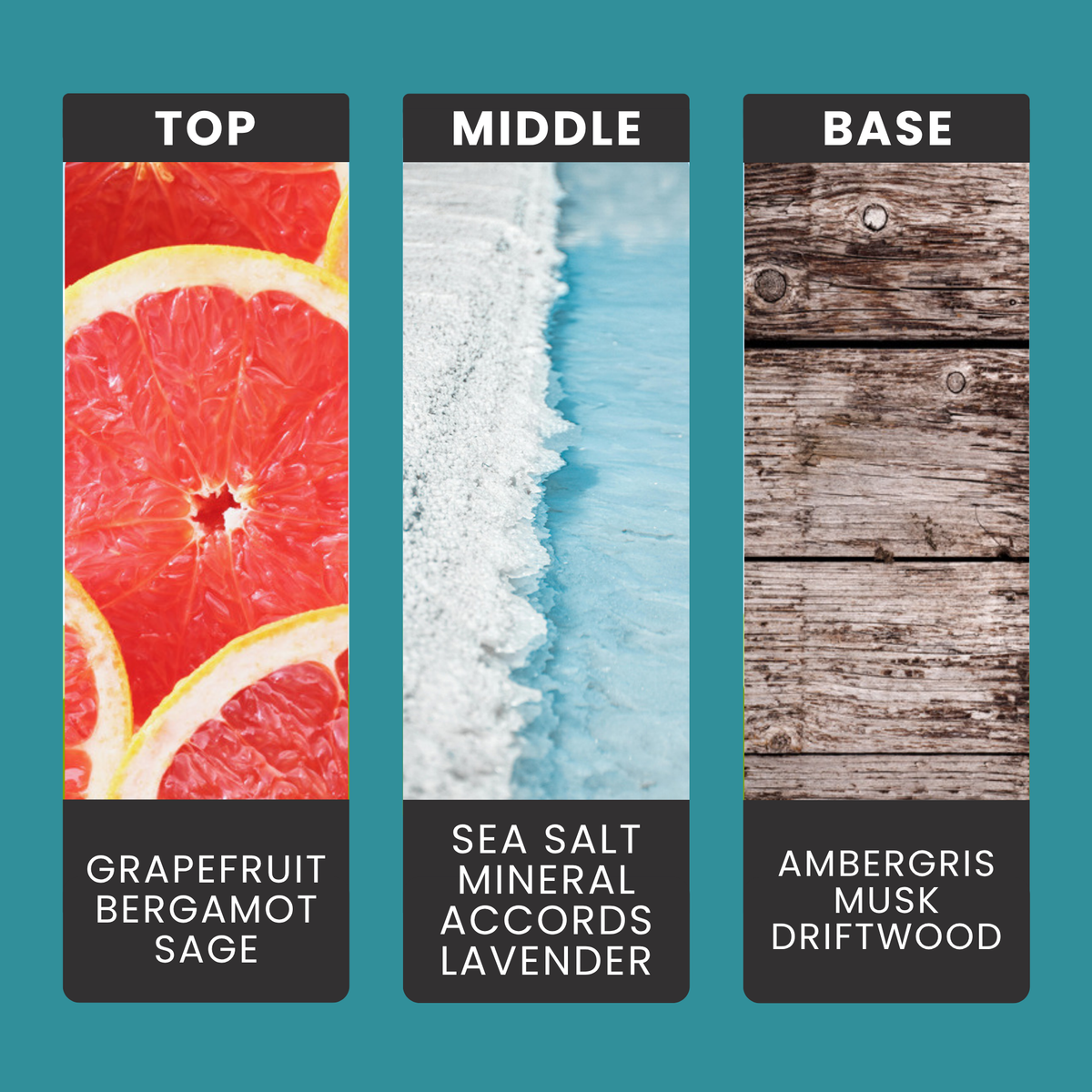 Wood Sage & Sea Salt fragrance oil notes: sage, grapefruit and bergamot with soft musk and ambergris