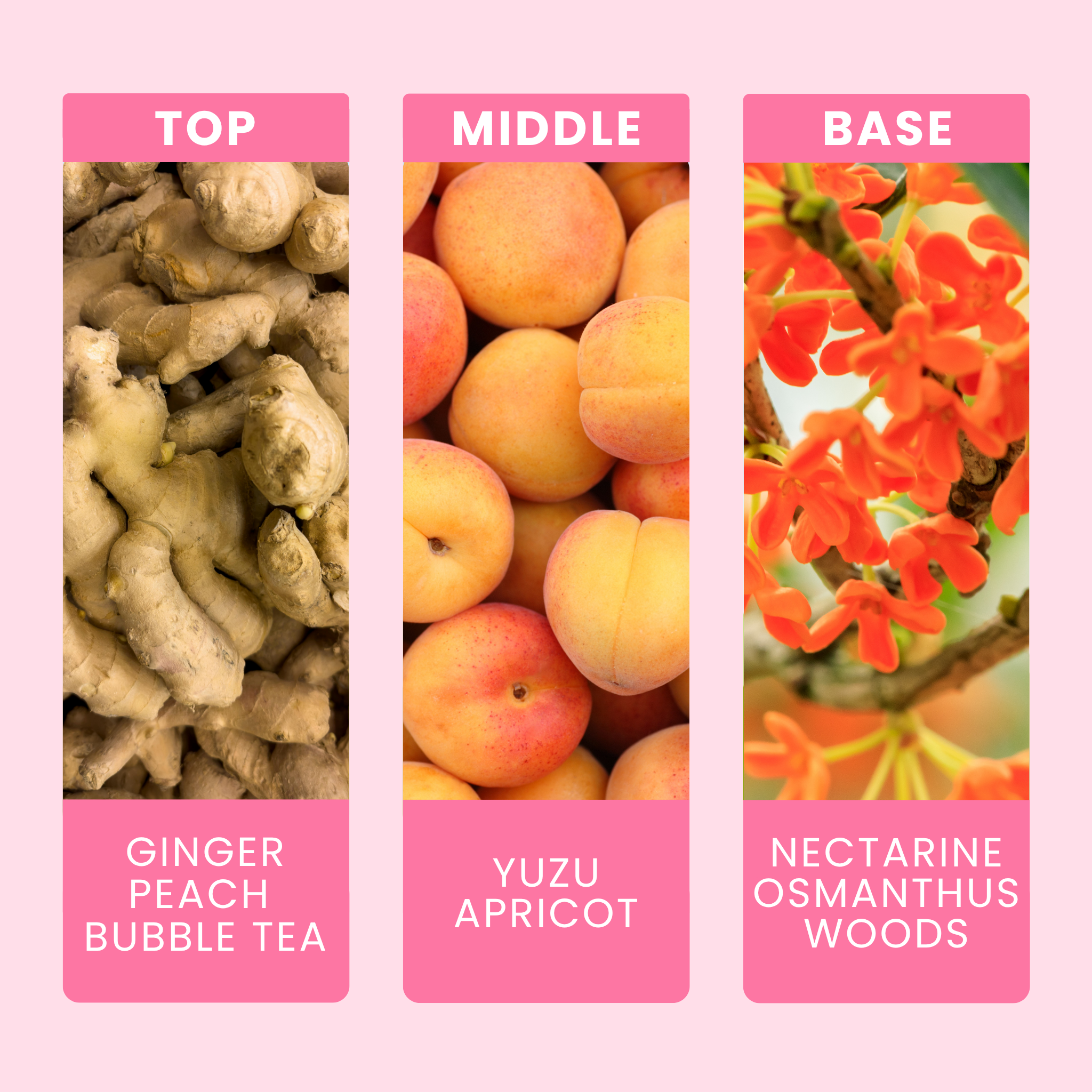 you-me-and-bubble-tea-fragrance-oil-notes